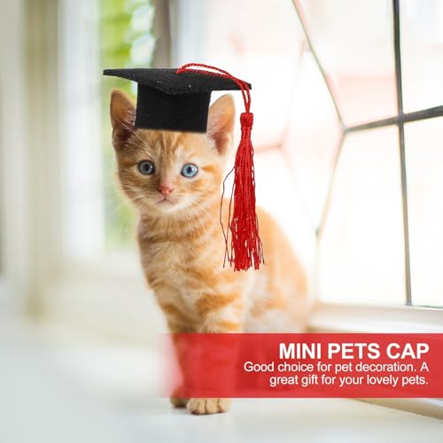 Gorrito de Graduación para Mascotas Mini 4 piezas miniatura 4