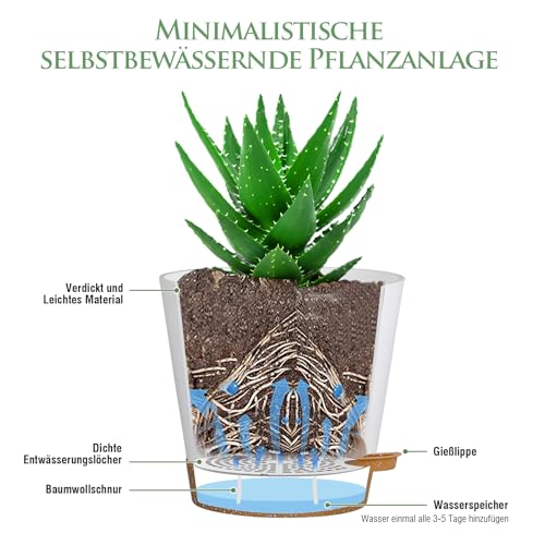 Homeuouz-6-Packs-Blumentopf-Selbstbewassernd-152cm-Pflanzentopf-mit-Bewasserungssystem-Ubertopf-mit-Brown-Untersetzer-Blumentopfe-Set-Ideal-fur-Innen-und-Balkongarten-Weis | Dealmeister.io Alt tag für bilder post titel