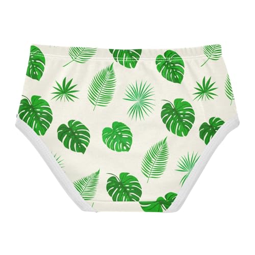 Summer Plant Toddler Girls's Underwear 2T 23029022