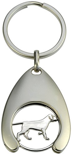 Portachiavi con chip per carrello della spesa