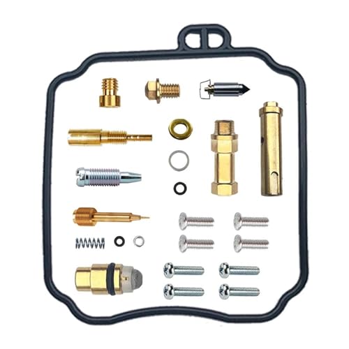 Kit de reparacion carburador Yamaha Virago 250 para puesta a punto tras largo tiempo