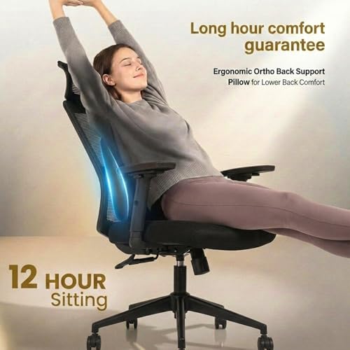 Image of ValorX USA Summit 2026 Ergonomic High Back Office Chair | Orthopedic Memory Foam Back Cushion | Smart Tilt-Lock Mechanism | Breathable Italian Mesh | 3D Armrest | 3 Year Warranty | Black