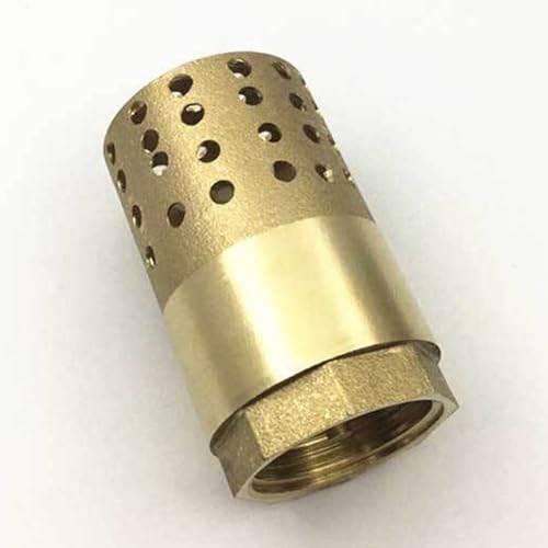 Brass Foot Valve 1 inch NPT Vertical Check Valve Female Connection One Way Foot Valve Backflow Preventer with Holes Strainer Filter for Well Jet Pumps Foot Valve(1'' NPT)