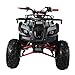 X-PRO 125cc ATV 4 Wheels Quad 125 ATV Quads with LED Lights, Big 19