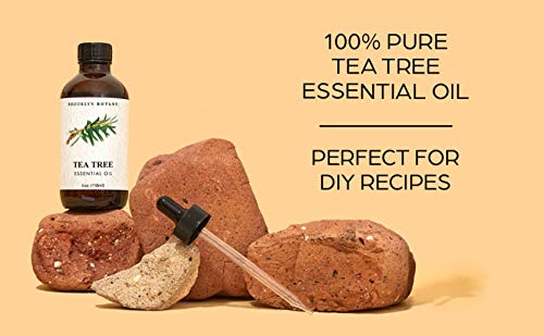 Brooklyn Botany Tea Tree Essential Oil & Peppermint Essential Oil Set – 100% Pure & Natural – 4 Fl Oz Therapeutic Grade Essential Oil With Glass Dropper - Essential Oil For Aromatherapy And Diffuser #TOP1