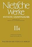 Nachgelassene Fragmente Sommer 1872 - Ende 1874 (German Edition)