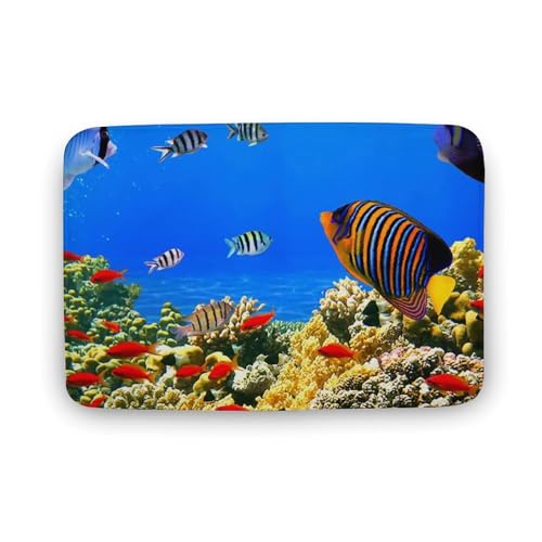 玄関マット室内 サンゴ礁 熱帯魚 海洋 泥落としマット 滑り止め 40x60cm 大判 カーペット 耐摩耗性 吸水 ドアマット バスマット ふわふわ 柔らか 洗える 抗菌防臭 足拭きマット 廊下 洗面所 掃除 ラグマット オールシーズン適用 水洗い お手入
