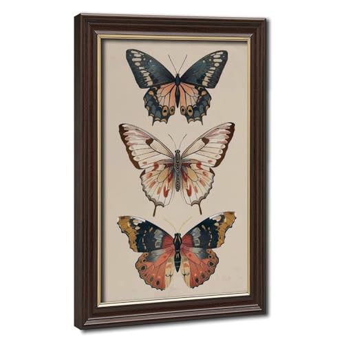 Art vintage papillon décoration murale chambre affiche sur toile 40x61cm