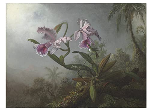 Impression d'art Orchidées roses Tableau de Nature Décoration Salon et Bureau Grand Format 60x90