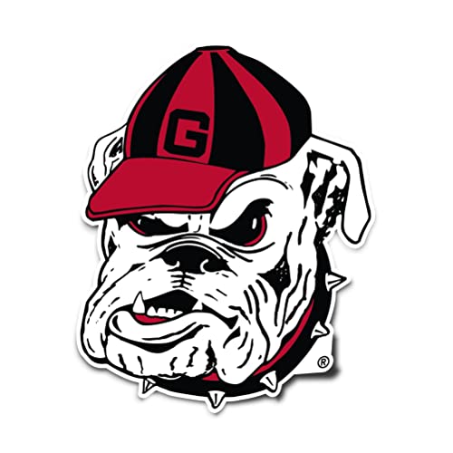 Desert Cactus University of Georgia Sticker Bulldogs UGA Dawgs Vinyl Decal Laptop Water Bottle Car Scrapbook (IND 35)