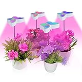Estoy tan feliz de que hayas encontrado estas luces. ¡Amigos míos! Tal vez su violeta africana y Anthurium no reciban suficiente luz solar ya que tiene ventanas orientadas al sur limitadas. O, el sol de verano es demasiado caliente para estas plantas. ¡Las repisas de las ventanas pequeñas también son un problema! Las luces son tan fáciles de usar... sin una instalación complicada... ¡instrucciones fáciles!
