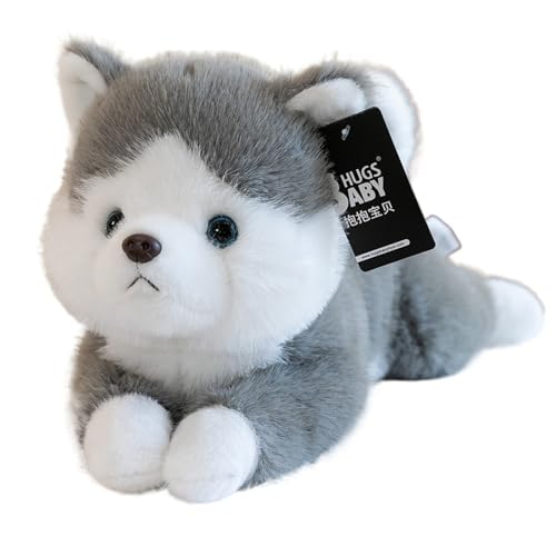 Vlwm Č ʂ 傫   A  Ck NbV 45cm/ 65ӂӂ  a Mtg v[g (45cm,nXL[)
