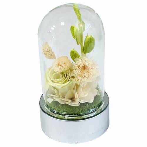 L[t(Q-FLA) vU[uht[  vU h[ o [Y ̓ Mtg 蕨 746796