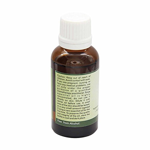 R V Essential Reines Zedernholz Ätherische Öl 15ml (0.507 Unzen) - Perus virginiana (100% reiner und natürlicher Dampf destilliert) Pure Cedarwood Essential Oil