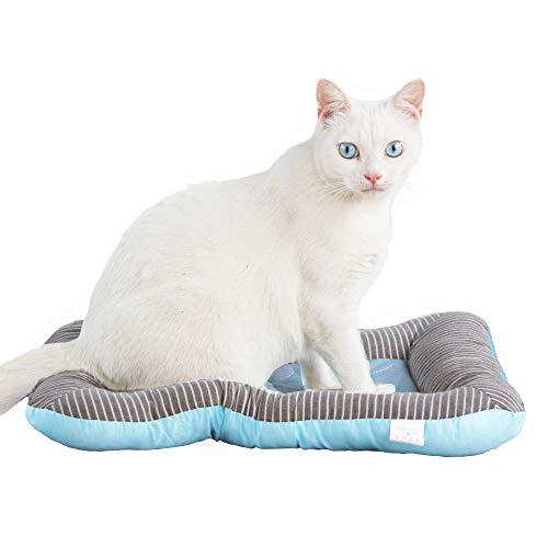 Top 10 Cat Bed For Summer of 2022 Katynel