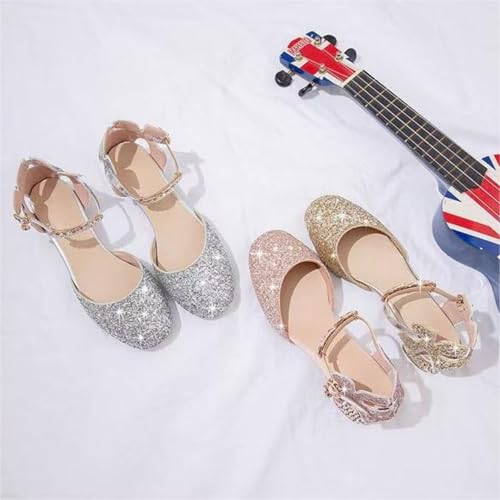 HROYL Flower Girls Wedding Party Ballroom Low Heel Princess Shoes Closed Toe Dance Shoes Ballet Flats,Model DS633