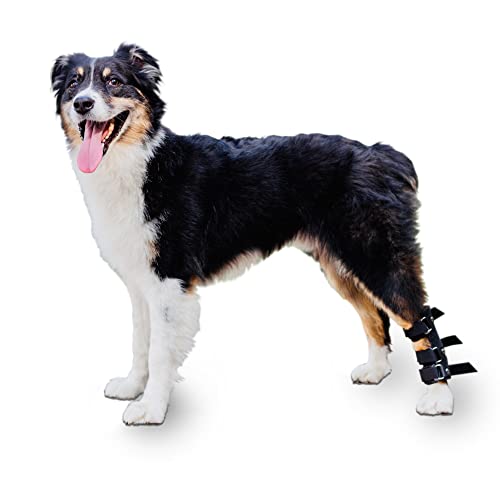 Walkin'’ Pet Splint for Dogs | Hock Style Foot Splint for Dogs with Arthritis | Protects Injured Rear Leg | Offers Pet Joint Support | Aids Rehabilitation and Recovery