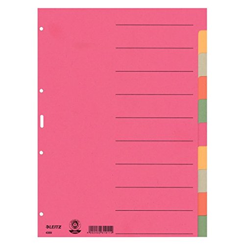 Leitz 4359 - Separatori in cartoncino, 5 colori, 225 x 300 mm