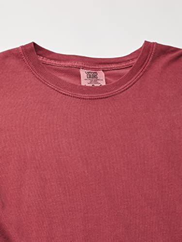 Image of Comfort Colors Ringspun Garment-Dyed Long-Sleeve T-Shirt (Ice Blue)