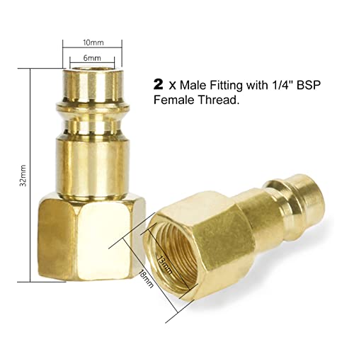 1/4 NPT Druckluftkupplung 1/4 Zoll Luftanschluss Schnellkupplung Druckluft Stecknippel Luftschlauch Kompressor Vergoldete Luftleitungsanschlüsse Luftkompressor-Fittings Schnellanschluss mit Gewinde