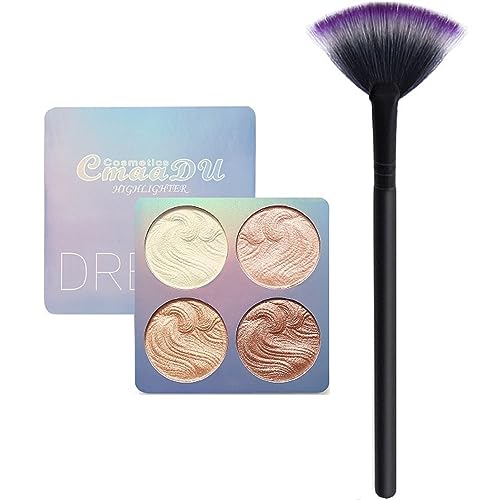 Technic Get Gorgeous Poudre illuminante + Petit pinceau de maquillage LyDia® Noir