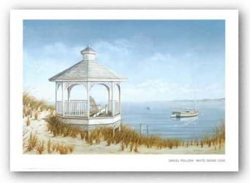 Bruce Teleky White Goose Cove by Daniel Pollera 20"x30" Art Print Poster
