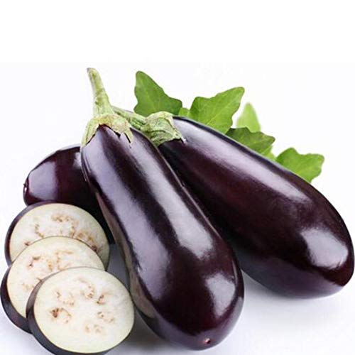 Bravet Vegetable Seeds - 200pcs Eggplant Seeds Organic Vegetable Rich In Vitamin Mixed Eggplant Seeds for Home Garden