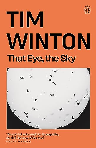 That Eye, the Sky view 2