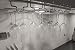 Copa Design C-6000 Soporte para Copas de Vino/Champagne - Organizador Cocina -...