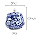 Ceramic Blue and white Sealed Coffee Food Storage Jar Canister with Lid