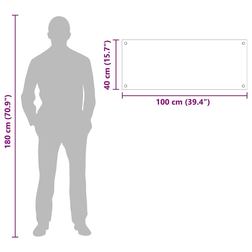 vidaXL Schienale da Cucina Trasparente 100 x 40 cm Vetro temperato, Design da Cucina alla Moda: Schienale in Vetro, Parete Resistente al Calore, estetica Moderna per la ristrutturazione