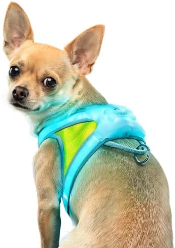 noxgear LightHound Light-Up Harness — Small