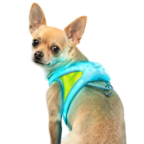 Noxgear LightHound - Revolutionary Illuminated and Reflective Vest for Dogs Including Multicolored LED Fiber Optics (USB Rechargeable, Adjustable, Lightweight, Rainproof) (Small)