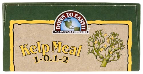 Down To Earth All Natural Fertilizers Organic Kelp Meal - Plant Food with Seaweed (Ascophyllum nodosum), Potassium and Trace Minerals 1-0.1-2, 0.5 lb
