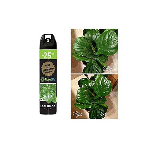 Floralife Leafshine 750ml Scent Free Clear Spray for Plants and Flowers