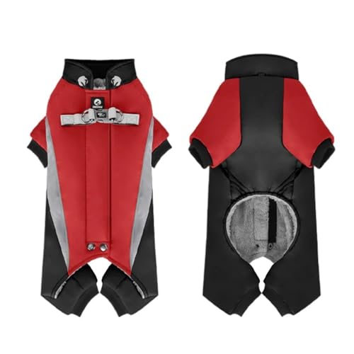 t[Xntg~̃ybgR[gyʖhViEU[pOuhbOr[OhWvX[c,C,L