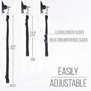   Dog-Dual-Bathing-Tether-with-Suction-Cup-for-Pet-Shower-and-Grooming