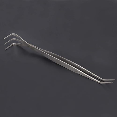 Miniatura 5 de Fdit Herramientas de bonsái de acero inoxidable 2 en 1, herramienta de jardinería, pinzas de rastrillo de raíz para plantador de bonsái