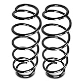 Frankberg 2x Federn Fahrwerksfeder Hinterachse Kompatibel mit W169 A150 A160 A170 A180 A200 2004-2012 Replace# 1693241804