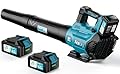 Leaf Blower Cordless - 580CFM/160MPH & 3 Speed Levels Electric Leaf Blower with 2 x 4.0Ah Battery and Charger, Extension Tube Blower for Lawn Care, Yard, Garage, Blowing Leaves, Dust or Snow, Blue