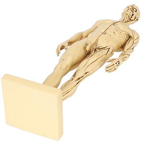 Statuette d'anatomie pour formation éducative médicale en résine