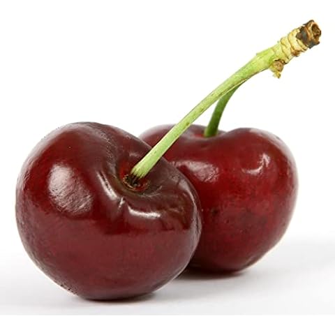 Prunus Avium Wild Cherry Tree Seeds Cover