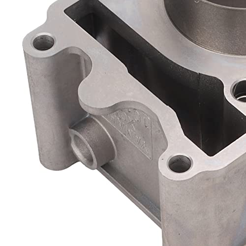 Aramox Conjunto de pistão cilíndrico, kit de vedação de anel de pistão cilíndrico de 55 mm/2,17 pol.