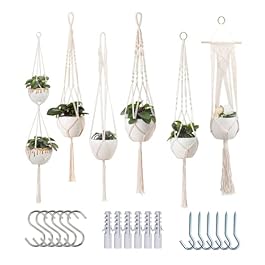 Macrame Plant Hangers...