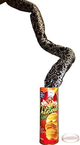 B&E LIFE The Potato Chip Snake Can Jump Spring Snake Toy Gift April Fool Day Halloween Party Decoration Jokes in A Can Gag Gift Prank Large Size (Potato Chip Style)