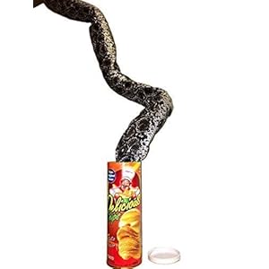 B&E LIFE The Potato Chip Snake Can Jump Spring Snake Toy Gift April Fool Day Halloween Party Decoration Jokes in A Can…