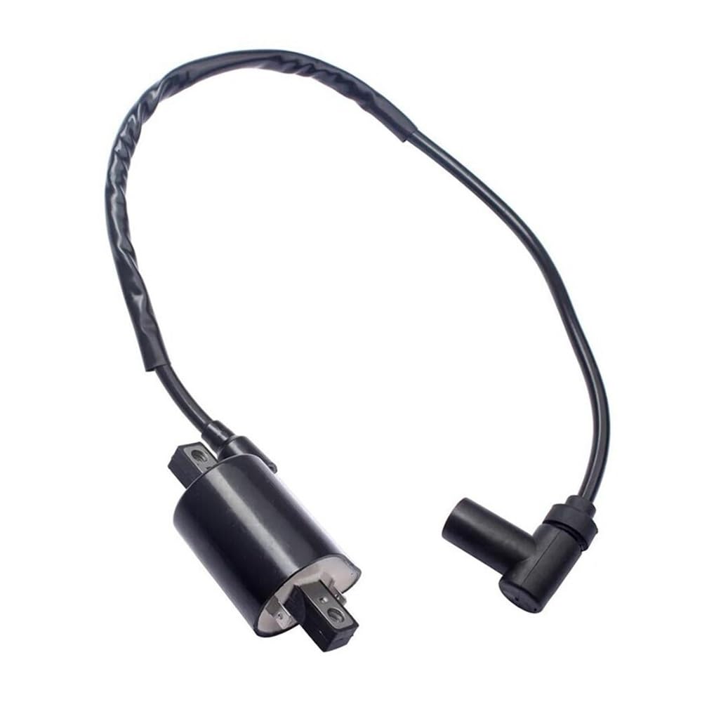 Bujías Bobina de Encendido Bujías para Carro de Gasolina G2 G5 G8 G9 G11 G14 1985 con 3 electrodos