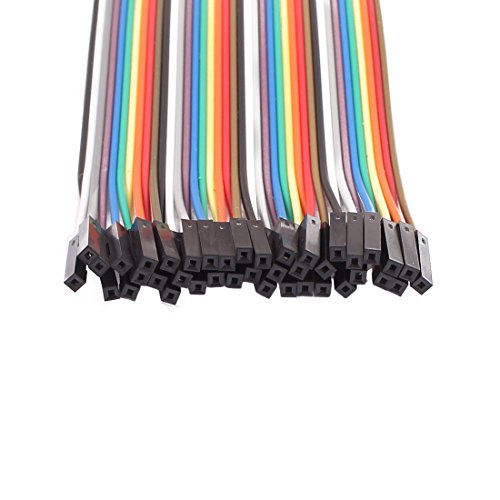 Cable Jumper hembra a hembra 40P 50cm miniatura 2