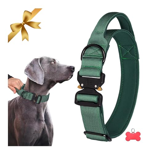 Collare Tattico per Cani Regolabile con Maniglia di Controllo, Collare per Cani in Nylon Imbottito in Neoprene, Collare per Cani con Fibbia in Metallo a Sgancio Rapido per Cani di Grossa Taglia, XL