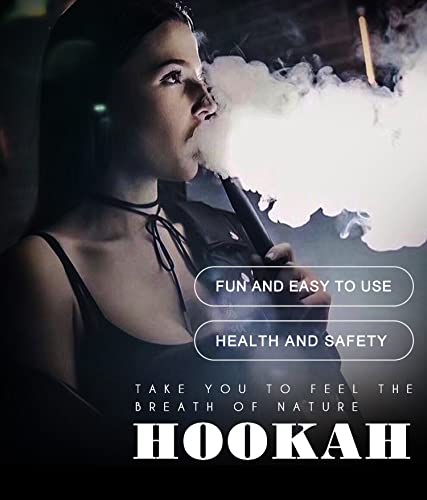 ILYF Haken, 2 Schlauch - mit Kunstvase, Keramikschale und Aschenbecher, BPA Kostenlos, Shisha für Anfänger, geeignet für… – Bild 5